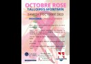 AFFICHE OCTOBRE ROSE OK