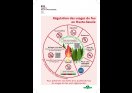 flyer-A5-regulation-usages-feux-V2-1-2 page-0001 flyer-A5-regulation-usages-feux-V2-1-2 page-0001
